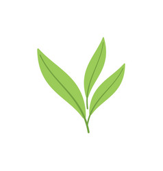 Sage Icon Flat Leaf Plant