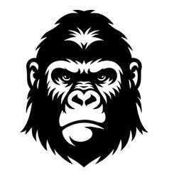 Gorilla Graphic