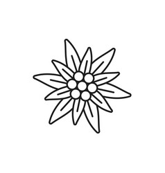 Alps Edelweiss Flower Isolated Thin Line Icon