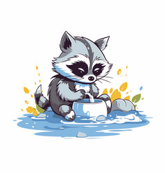 Raccoon Drinking Water From A Bowl Isolated On