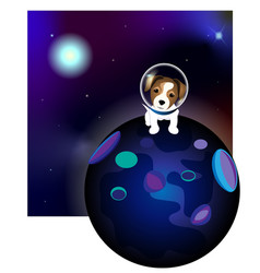 A Dog In Space