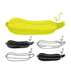 Zucchini Cartoon Linear Icon Doodle Style