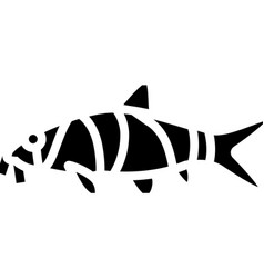 Clown Loaches Glyph Icon