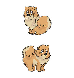 Cute Cartoon Pomeranian Puppy Clipart