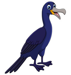 Cute Cormorant Bird Cartoon