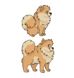 Cute Cartoon Pomeranian Dog Clipart