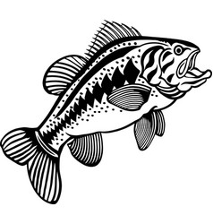 Largemouth Bass - American Fishes - Logo Fish