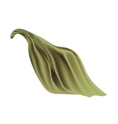 Green Throwed Blanket Or Towel