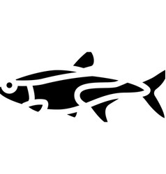 Tetras Aquarium Fish Glyph Icon