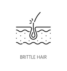 Brittle Hair Treatment Woman Health Line Icon