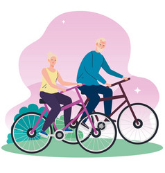 Senior Couple In Bicycle In Park