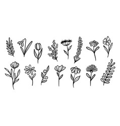 Plant Set Flower Doodles Botanical Clip Art