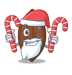 Santa With Candy Fresh Pecan Nuts Isolated