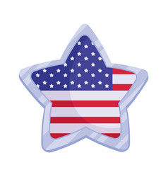 Usa Flag In Star