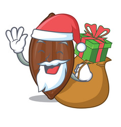 Santa With Gift Fresh Pecan Nuts Isolated