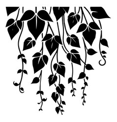 Hanging Vine Silhouette