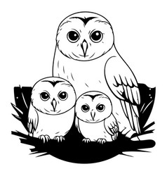 Owl Family On The Branch In Cartoon Style