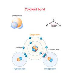 Covalent Bond For Example Water Molecule H2o