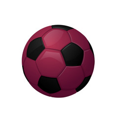 Qatar Burgundy Football Or Soccer Ball Sport