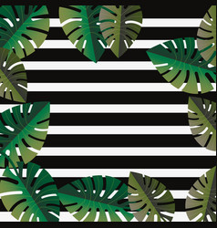 Stripes Plam Leaves Tropical Summer Background