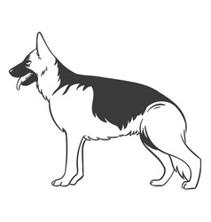 German Shepherd Side Hand Drawn High Quality