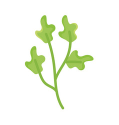 Coriander Leaves Icon