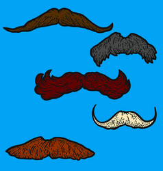 Set Five Male Retro Mustaches Sketch Scratch