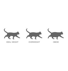 Silhouettes Of Cats With Ideal Weight Overweight