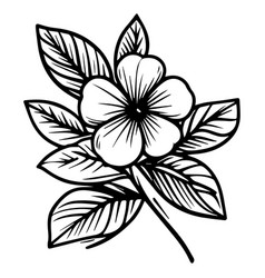 Flower Tattoo Designs Vintage Noyon Tara Drawings