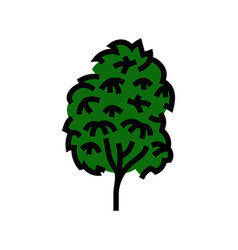 Kauri Tree Jungle Amazon Color Icon