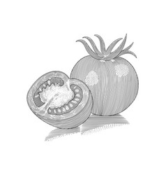 Tomato Vegetable And Half Sliced Vintage Engravin