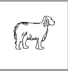 Design Sketch Of A Dog With Thick Fur