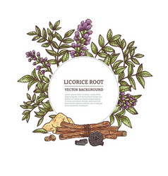 Medicine Plant Licorice Herb With Root Flower