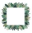 invitation leaves and plants template frame vector image