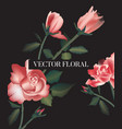 rose flowers leaves watercolor realistic print vector image vector image