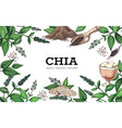 chia framing restaurant and cafe superfood vector image vector image