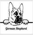 german shepherd - peeking dogs breed face head vector image