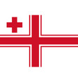 flag rectangular shape vector image