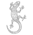 lizard coloring book for adults vector image