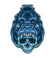 gorilla skull vector image vector image