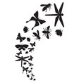 flying insects -dragonfly bee butterfly ladybug vector image