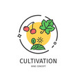 wine thin line icon concept vector image