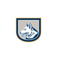 german shepherd dog head shield retro vector image vector image