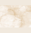 grunge paper background vector image vector image