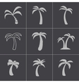 black palm icons set vector image vector image