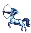 sagittarius vector image