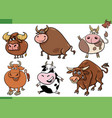 cartoon bulls farm animals comic characters set vector image