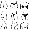 set of stylized female body parts vector image