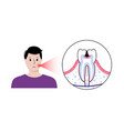 dental clinic concept vector image vector image