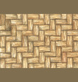 old rattan weave texture watercolor vector image vector image
